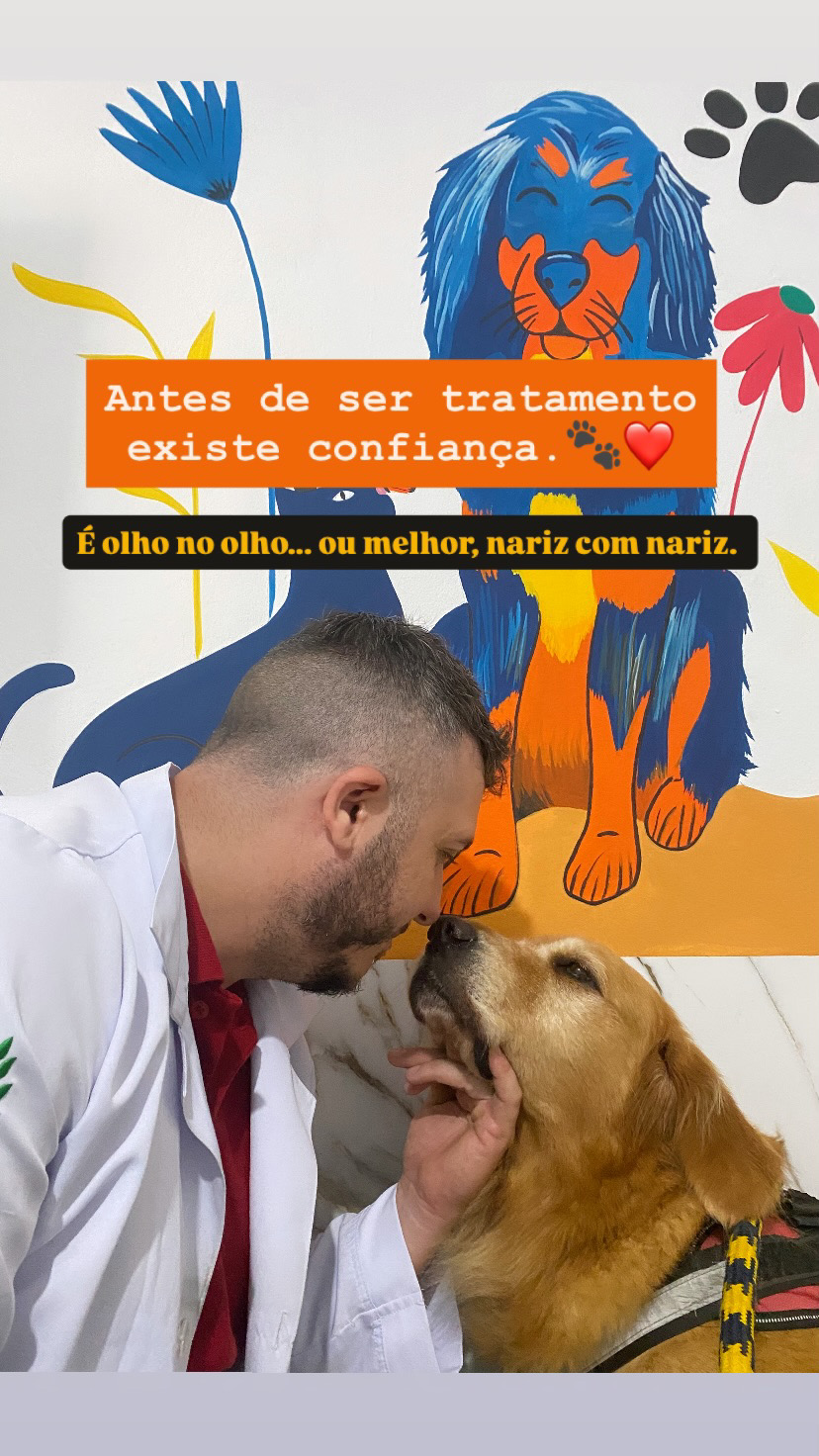 Gato sendo cuidado na Clínic Vet