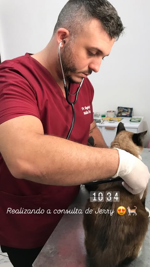 Equipe da Clínic Vet cuidando de um pet na clínica